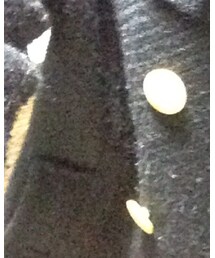 earth music&ecology | ピーコート