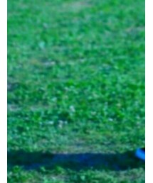 UNITED ARROWS | シャツ/ブラウス