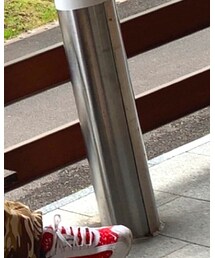 STREET | その他