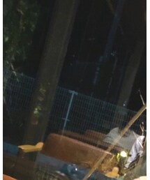 STREET | その他