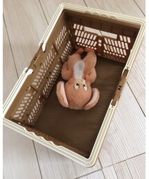 買い物したらしいジェリー | その他小物