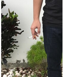 La mascotte | その他