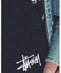 STUSSY | パンツ