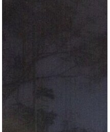 THE NORTH FACE | 帽子