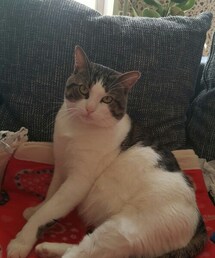 😺 | その他