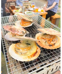 ホタテさん😋 | その他