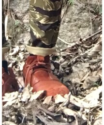 Reebok | スニーカー