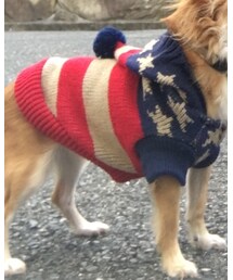 ネル様 | その他