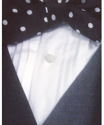 BRILLA per il gusto | シャツ/ブラウス