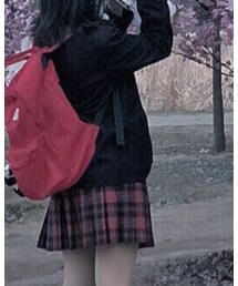 樱花家族圣诞格 | スカート