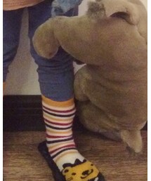 UNIQLO | その他パンツ