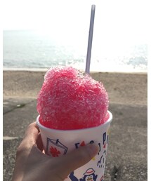 カキ氷 | その他