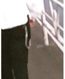 Alexander McQueen | 財布