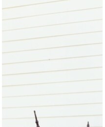 STEVE MADDEN | その他シューズ