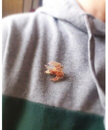 Handmade | ブローチ/コサージュ