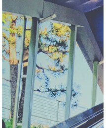 ZARA | シャツ/ブラウス