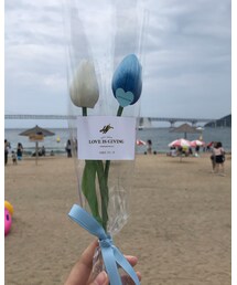 Love IS GIVING | その他