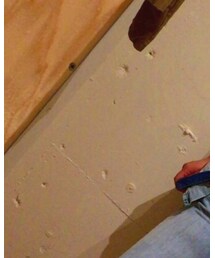 EMODA | シャツ/ブラウス