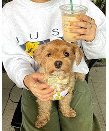 NIKE | スウェット