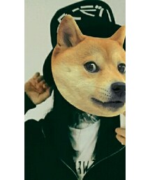 doge | その他