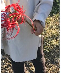 monmimi | Tシャツ/カットソー