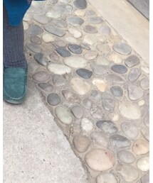 Bonpoint | レギンス/スパッツ