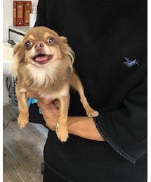 fortpointboston | Tシャツ/カットソー