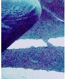 EDWIN | デニムパンツ