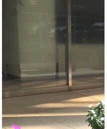 WEGO | トップス