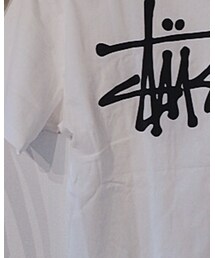 STUSSY | Tシャツ/カットソー
