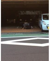 探し物はなんですかー？ | その他