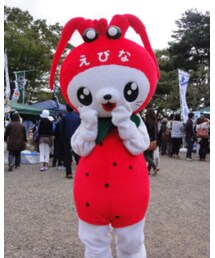 えびなちゃん | その他