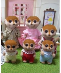 ミーヤキャット | その他