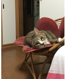 私のですか? | その他