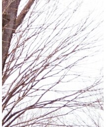 BROOKS BROTHERS | シャツ/ブラウス