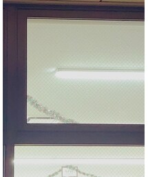 LED | 照明