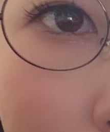 金子眼鏡 | メガネ