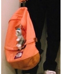 THE NORTH FACE PURPLE LABEL | バックパック/リュック