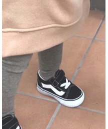 Birthday | タイツ/ストッキング