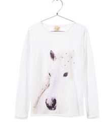 ZARA | ZARA＊トップス(Tシャツ/カットソー)