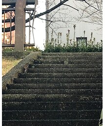 Engineered Garments | ジャケット/アウター