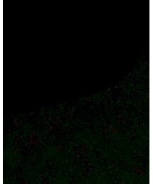 向こう側はななせダム | その他