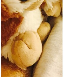 カワイイ相棒(^^)♪♪ ギズモ✨😊 | フィギュア