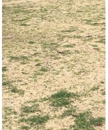 GU | その他パンツ