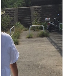 ZARA | Tシャツ/カットソー