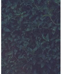 Bershka | Tシャツ/カットソー