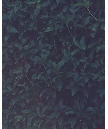 ZARA | ワンピース