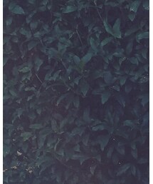 MOUSSY | ショルダーバッグ