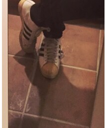 adidas promodel | スニーカー