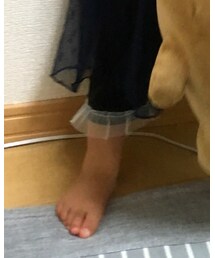 Birthday | その他パンツ
